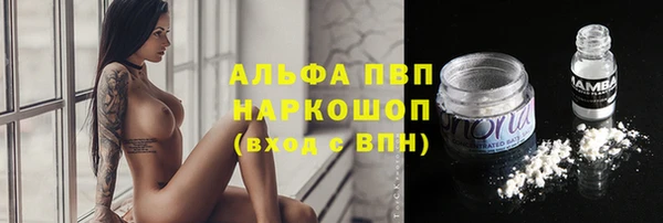jwh Новодвинск