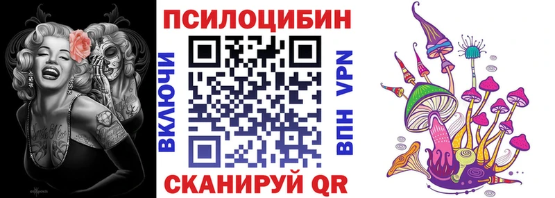 Купить где  Миллерово  Псилоцибиновые грибы Magic Shrooms 